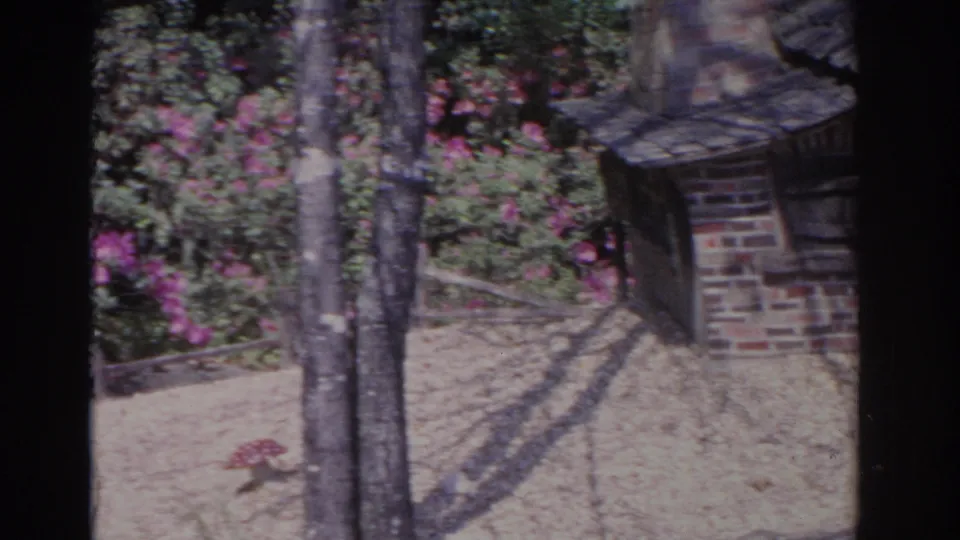 1962 Florida 8mm frame with tree trunks, pink blooms, gravel ground, and the edge of a miniature brick cottage with a shingled roof.