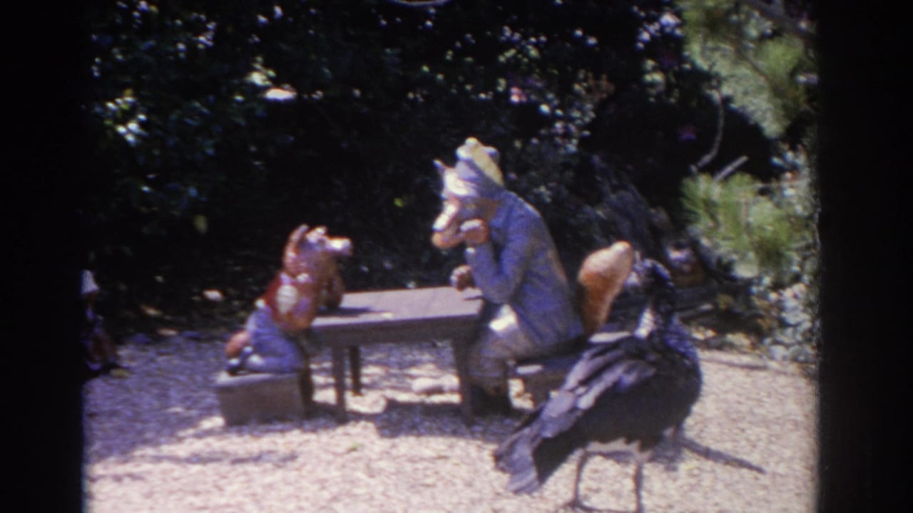 1962 Florida 8mm frame showing masked costumed figures around a small table as a large dark bird stands in the sunlit garden.