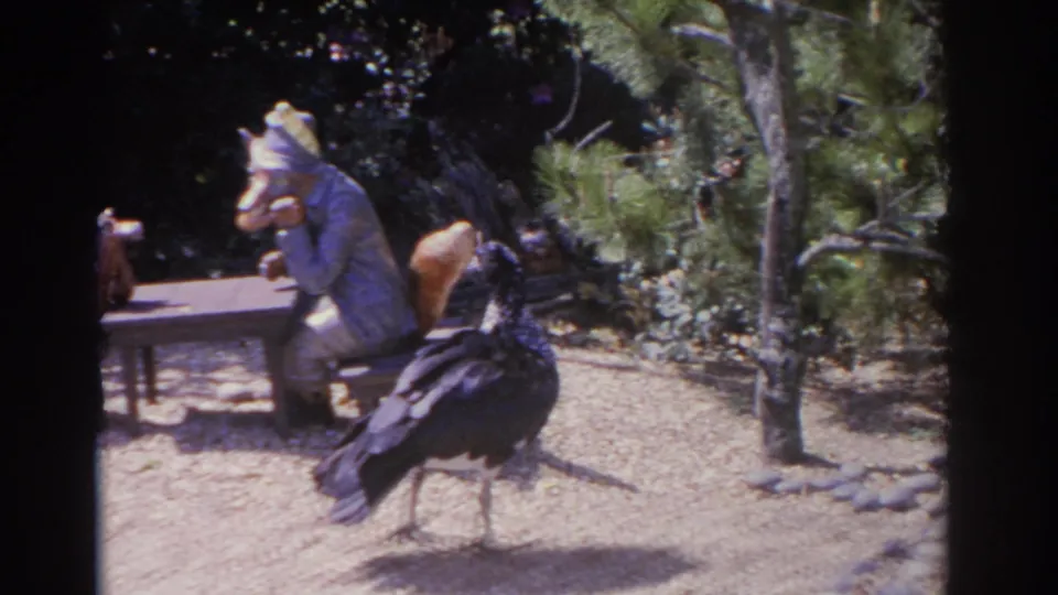1962 Florida 8mm frame with a large dark bird in the foreground near masked costumed figures, trees, and sandy garden ground.