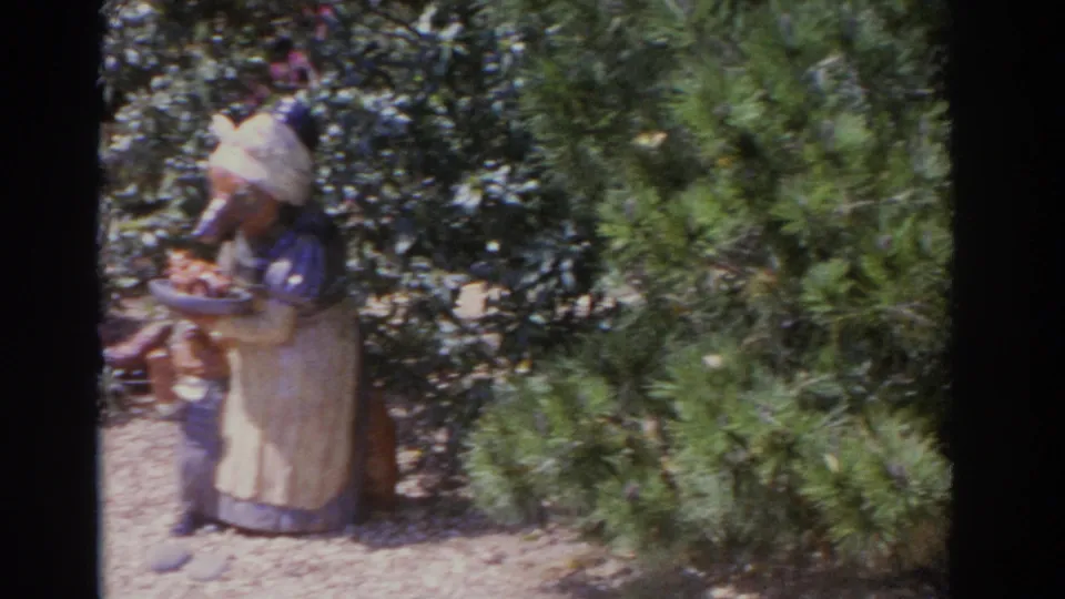 1962 Florida 8mm frame showing the carved apron-wearing figure more closely, with stone edging and dense woodland plants behind it.