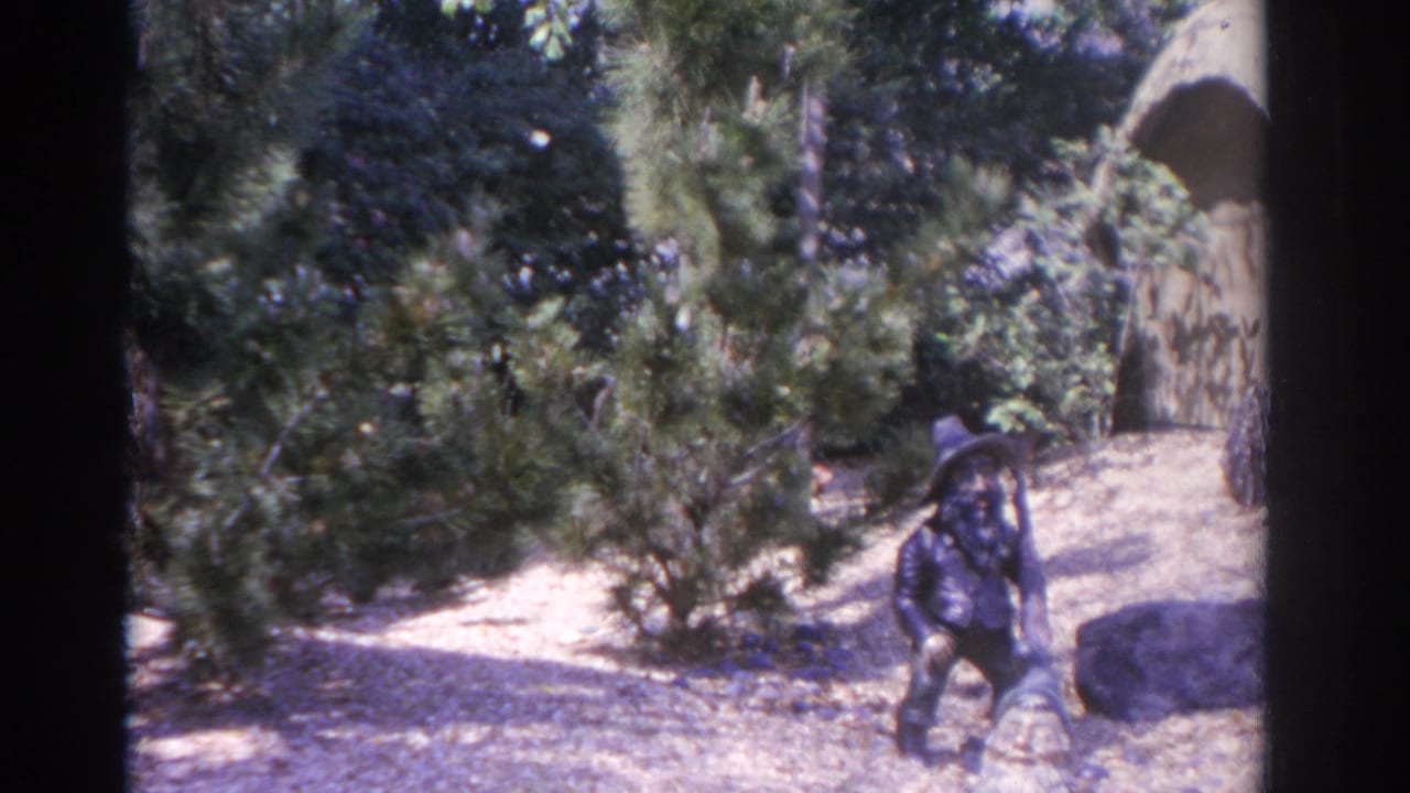 Single garden gnome figure stands near pine shrubs and a low dark mound.