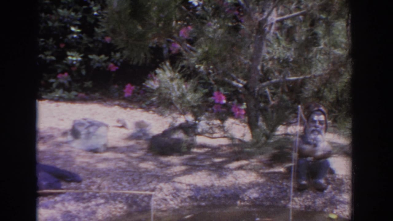 1962 Florida 8mm frame showing a landscaped garden pond with rocks, shrubs, pink flowers, and a small seated gnome figure.