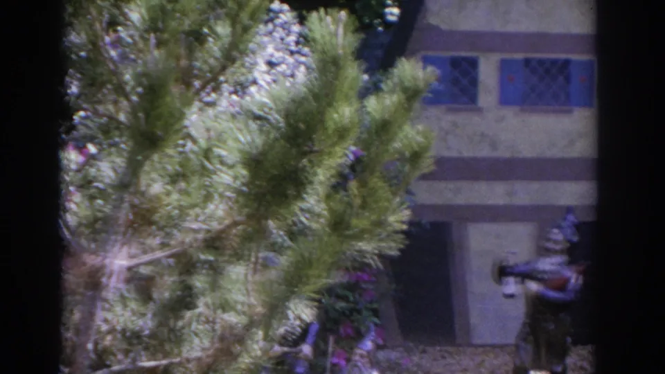1962 Florida garden view with pine-like foliage, flowering shrubs, a miniature house facade, and a gnome-like figure holding a bottle.