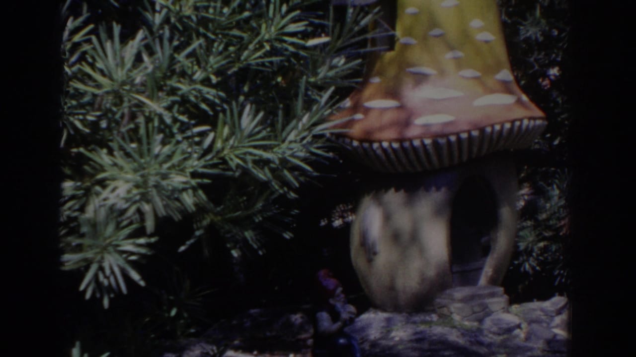 Mushroom-shaped gnome house partly shaded by pine branches.