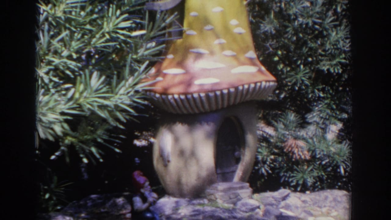 Gnome house with spotted roof beside sunlit pine foliage.