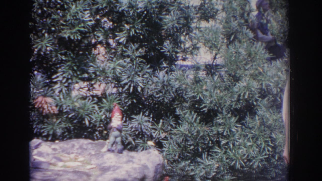 Garden gnome on a rock ledge with thick bushes behind it.
