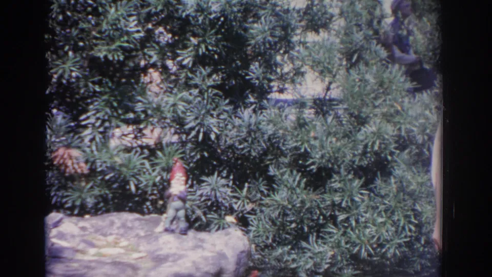 1962 Florida home-movie still with a small gnome figure on a rock ledge in front of leafy garden plants.