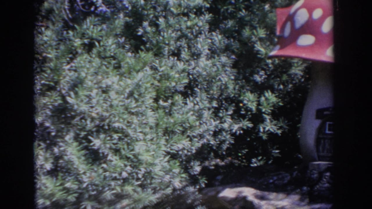 Garden shrubs fill the frame as part of a red and white spotted mushroom-shaped structure appears at the right edge.