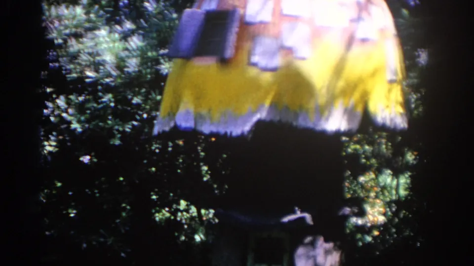 1962 Florida 8mm still showing the mushroom-shaped backyard structure lower in frame, surrounded by leafy plants.