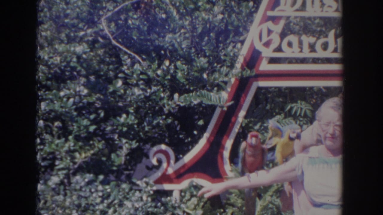 Elderly woman partly visible beneath a Botanical Gardens sign with parrots on her outstretched arm.