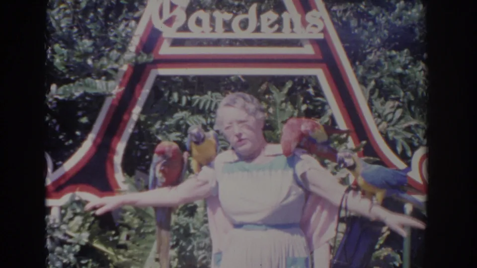 1962 Florida frame with an elderly woman extending both arms as colorful parrots perch around her in front of tropical foliage and a garden sign.