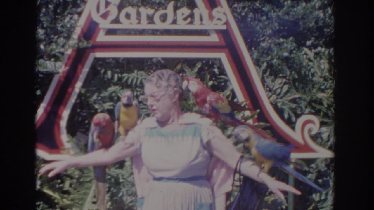 Woman in a light dress poses with macaws in front of a Busch Gardens sign.