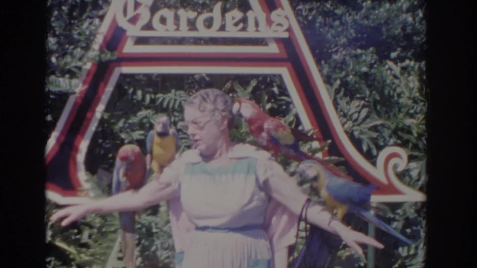 In 1962 Florida 8mm footage, a woman stands before a red and white Busch Gardens sign while colorful macaws perch on her arms and shoulder.