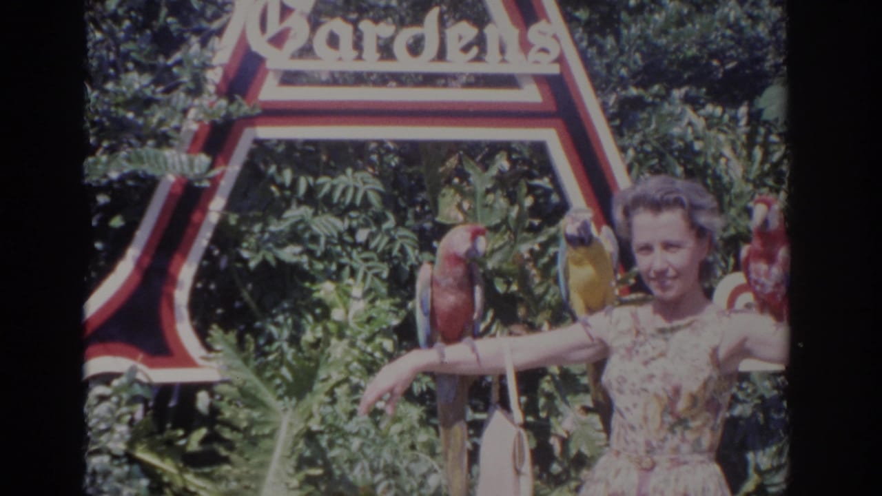 A woman in a floral dress poses at Busch Gardens in Florida as macaws perch on her arms and near the red and white attraction sign.