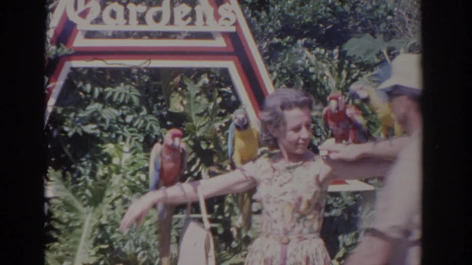 The floral-dress visitor remains posed with macaws while a partially visible handler or nearby person reaches in beside the Busch Gardens sign.