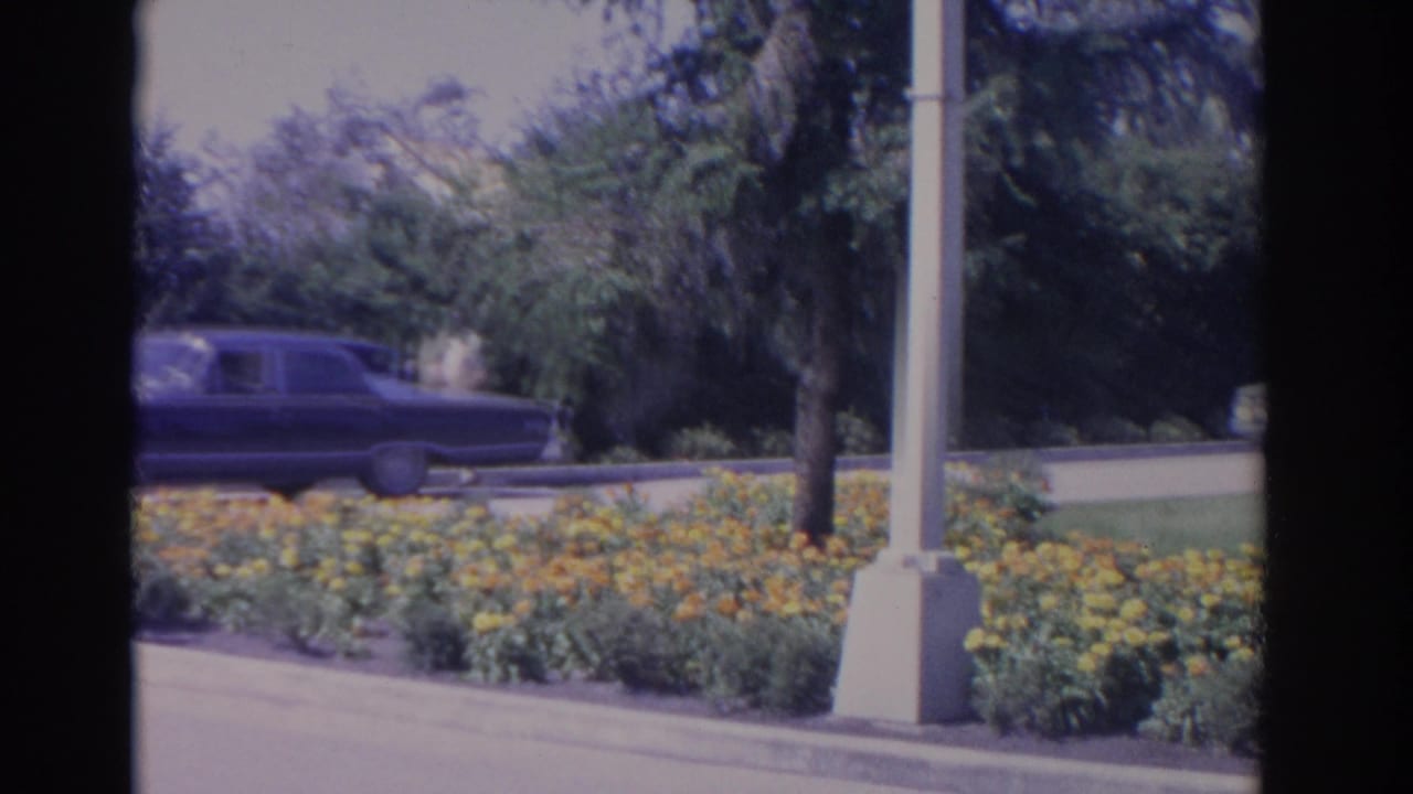 Dark sedan drives behind flower beds with trees and white poles nearby.