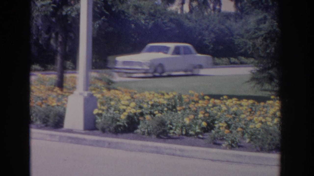 A white sedan drives past yellow flowers, a curb, lawn, trees, and a light pole in 1962 Florida home-movie footage.
