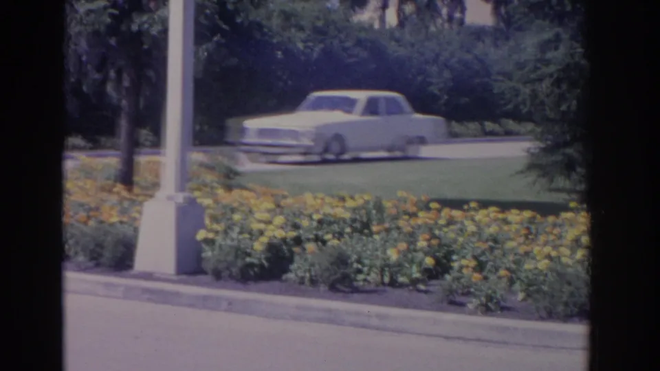 A white sedan drives past yellow flowers, a curb, lawn, trees, and a light pole in 1962 Florida home-movie footage.