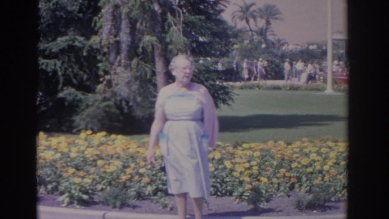 The woman remains posed in the Florida garden, with yellow flowers in front and visitors, palms, and lawn visible in the background.