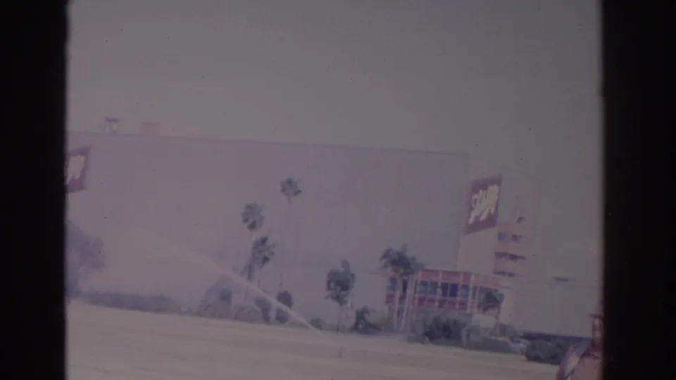 A large Schlitz-branded building in Florida appears beyond roadside landscaping and palm trees in this 1962 8mm frame.