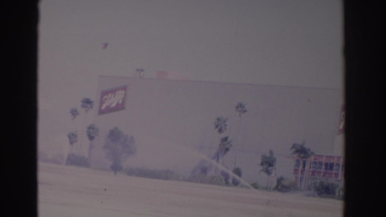 Commercial building with a Schlitz sign, palm trees, sprinkler spray, and bright pavement.