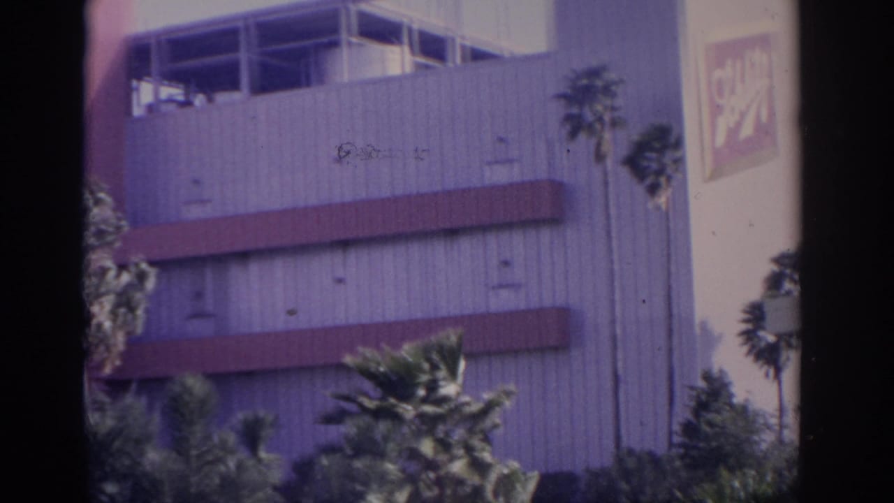 Building facade with palms and a partial sign near the upper wall.