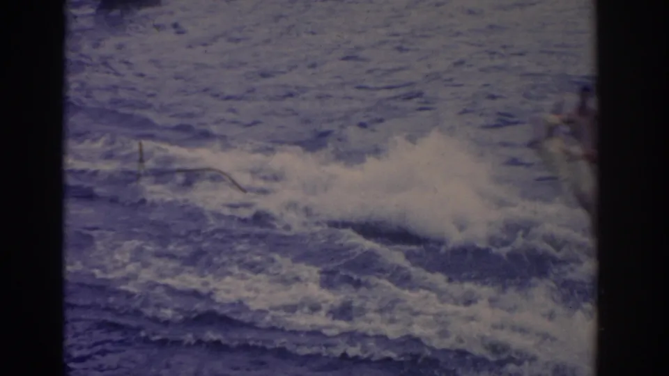 1962 Florida home-movie frame with water-ski spray and partially visible skiers moving out of view on open water.