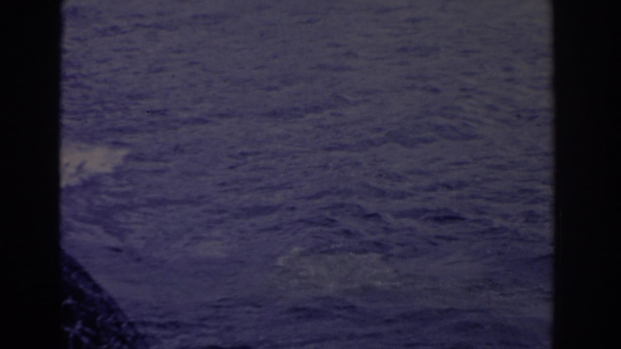 Open rippling water fills the frame, with a dark edge or object at lower left.