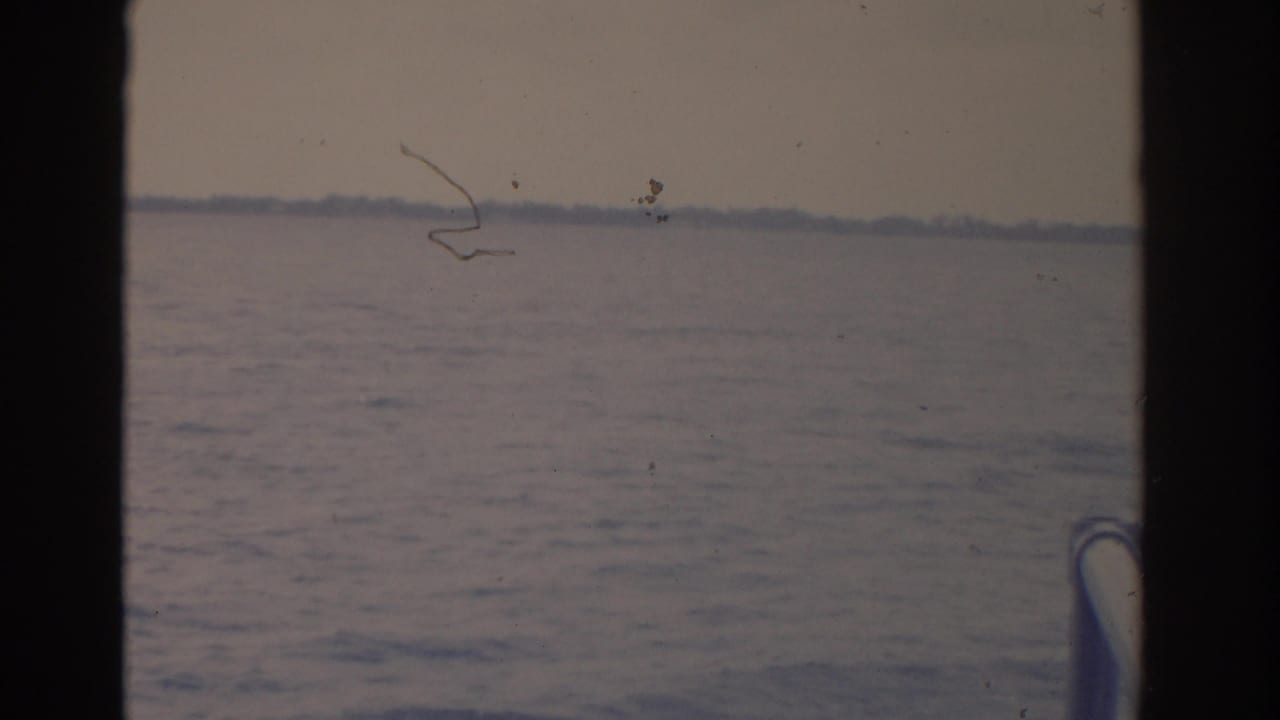 1962 Florida home-movie view across lake water, with a low tree line and dark film-frame edges visible.