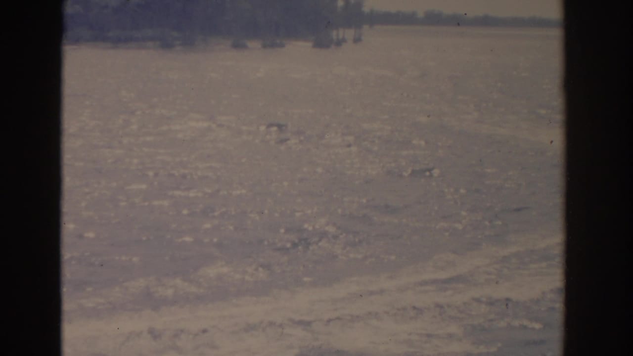 1962 Florida 8mm frame showing textured lake water, distant trees, and soft faded color from a boat perspective.