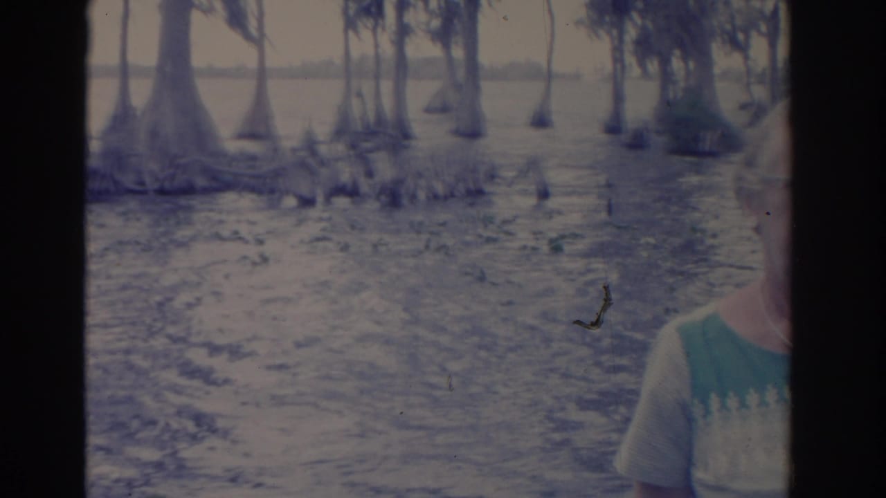 1962 Florida home-movie frame with cypress trees and swamp water, with a woman partly entering the right side of the frame.