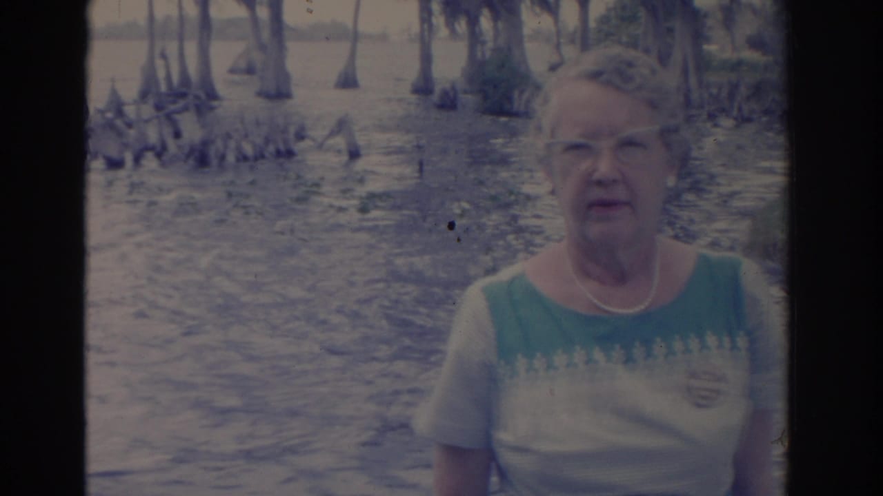 1962 Florida home-movie frame of an adult woman posing before cypress trees, exposed roots, and calm swamp water.