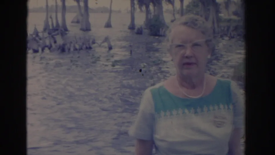 1962 Florida home-movie frame of an adult woman posing before cypress trees, exposed roots, and calm swamp water.