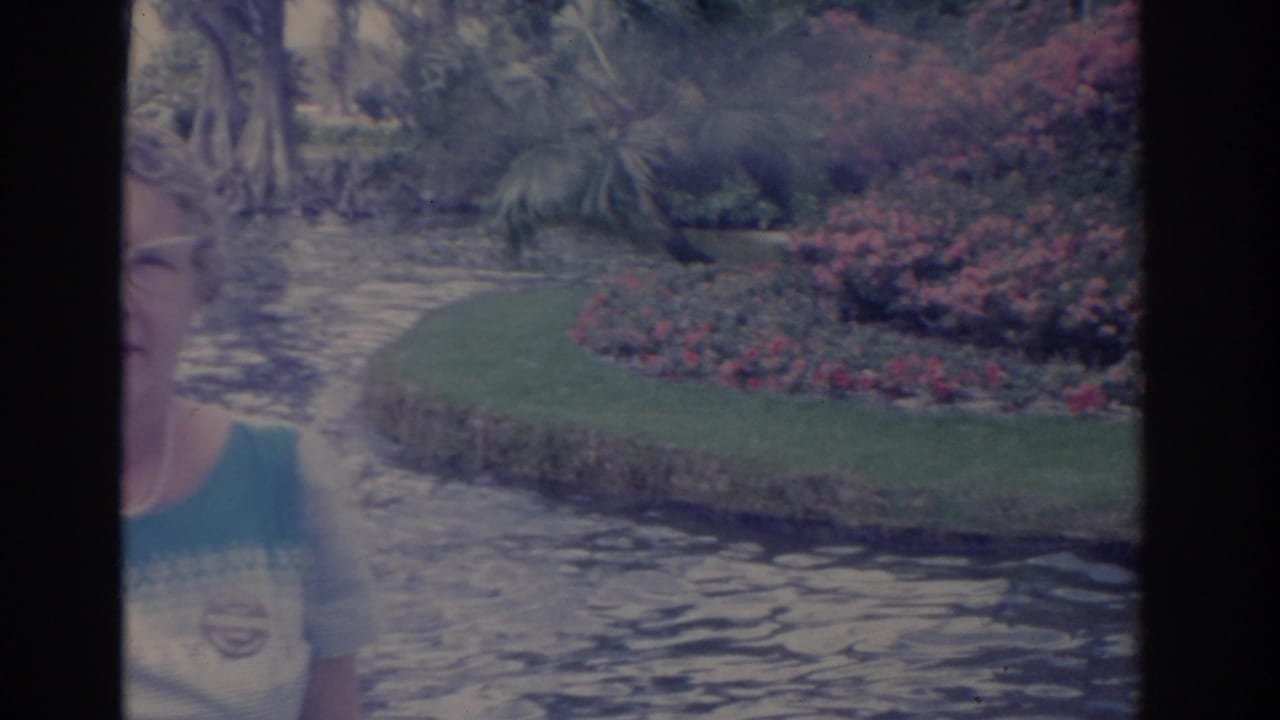 A 1962 Florida garden view shows the woman partly cropped beside flowing water, lawn, palms, and beds of pink flowers.