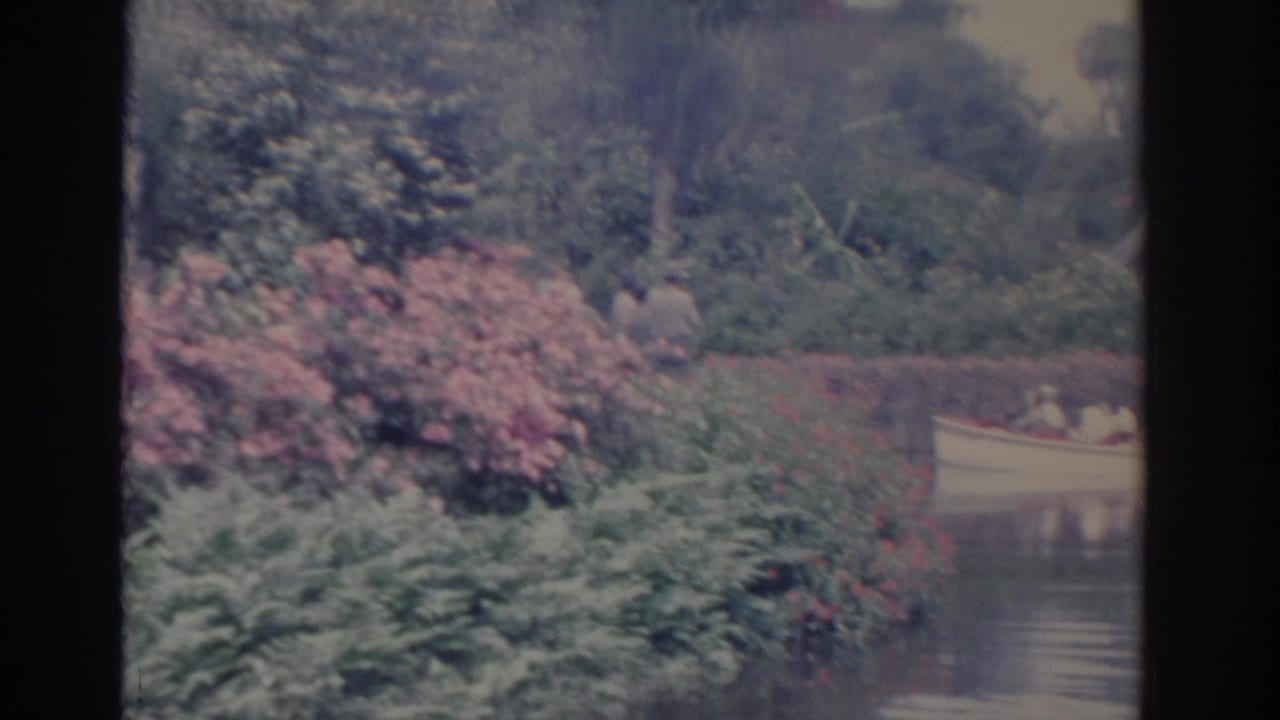 A small white boat carrying adults passes a landscaped Florida waterway with pink shrubs and dense palm foliage.