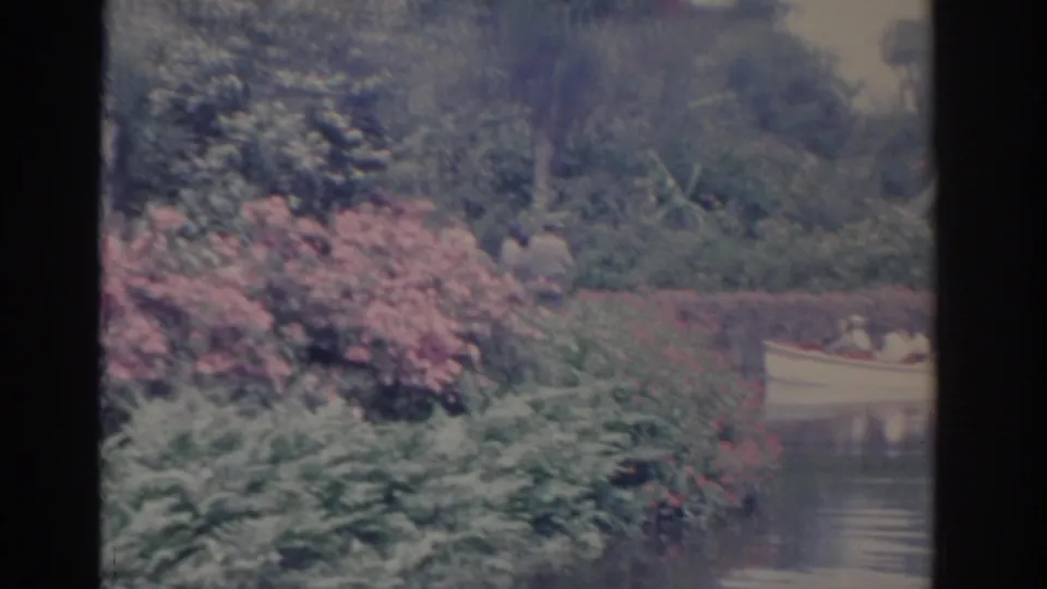 A small white boat carrying adults passes a landscaped Florida waterway with pink shrubs and dense palm foliage.