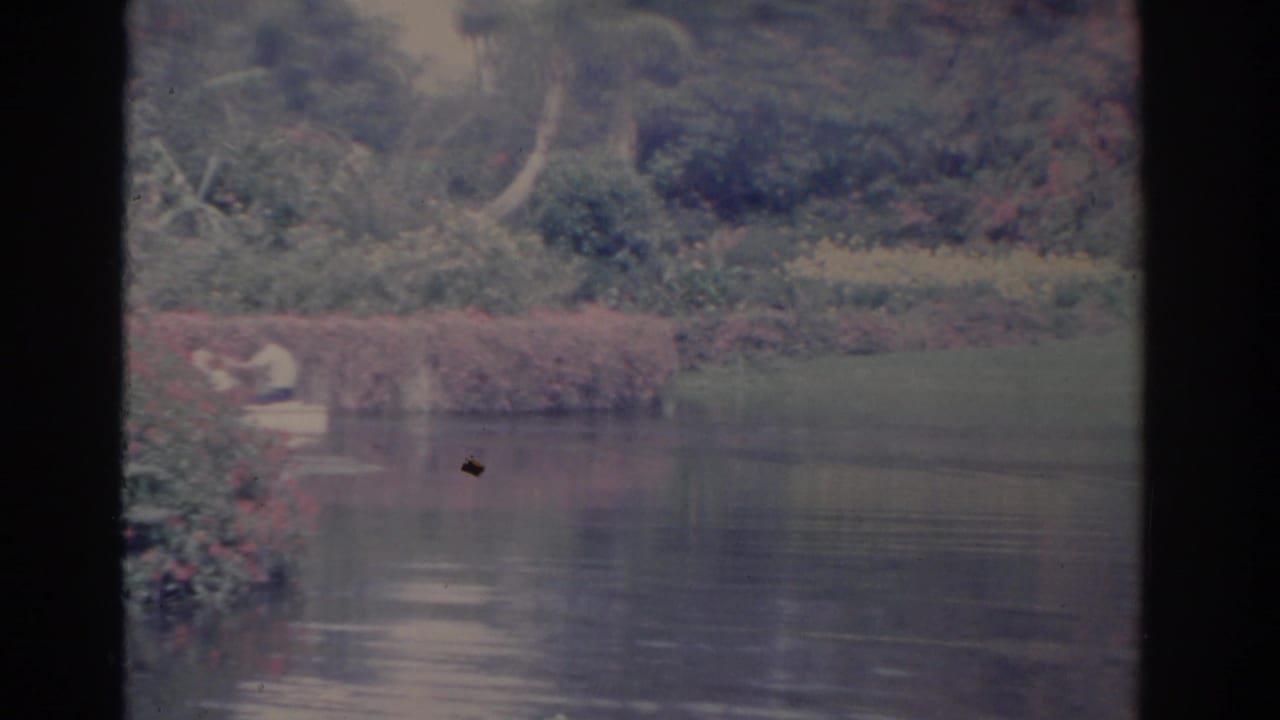 A small boat with adults appears farther away on a calm Florida waterway, backed by lawn, shrubs, and tropical foliage.