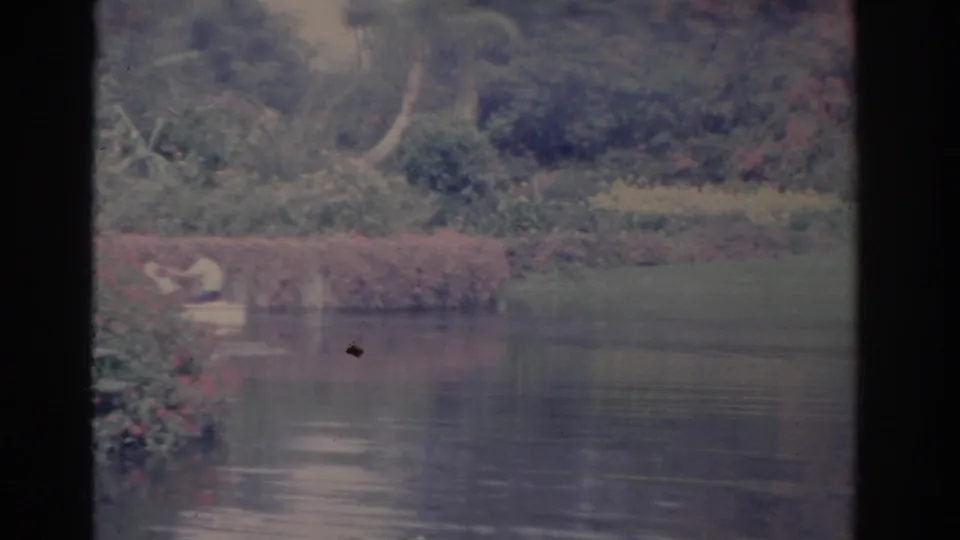 A small boat with adults appears farther away on a calm Florida waterway, backed by lawn, shrubs, and tropical foliage.