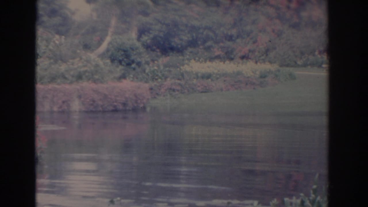 Quiet pond bordered by greenery and flowering shrubs with dark 8mm frame edges.