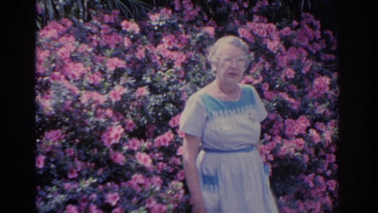 The home-movie camera holds on an elderly woman in glasses standing beside bright pink flowering bushes in Florida.