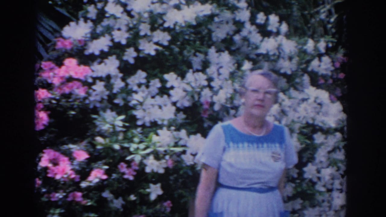 Adult woman poses seriously in a 1962 Florida garden, standing before pink and white blooms with palm foliage in soft 8mm color.