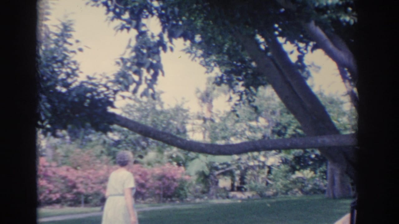 Older woman in a pale dress walks across a lawn beneath a large spreading tree.