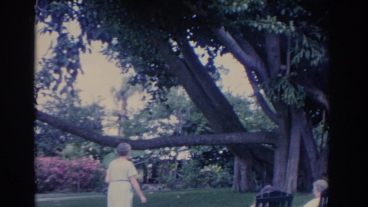 The older woman walks through the Florida garden as a wide tree canopy and a dark chair appear near the frame edge.