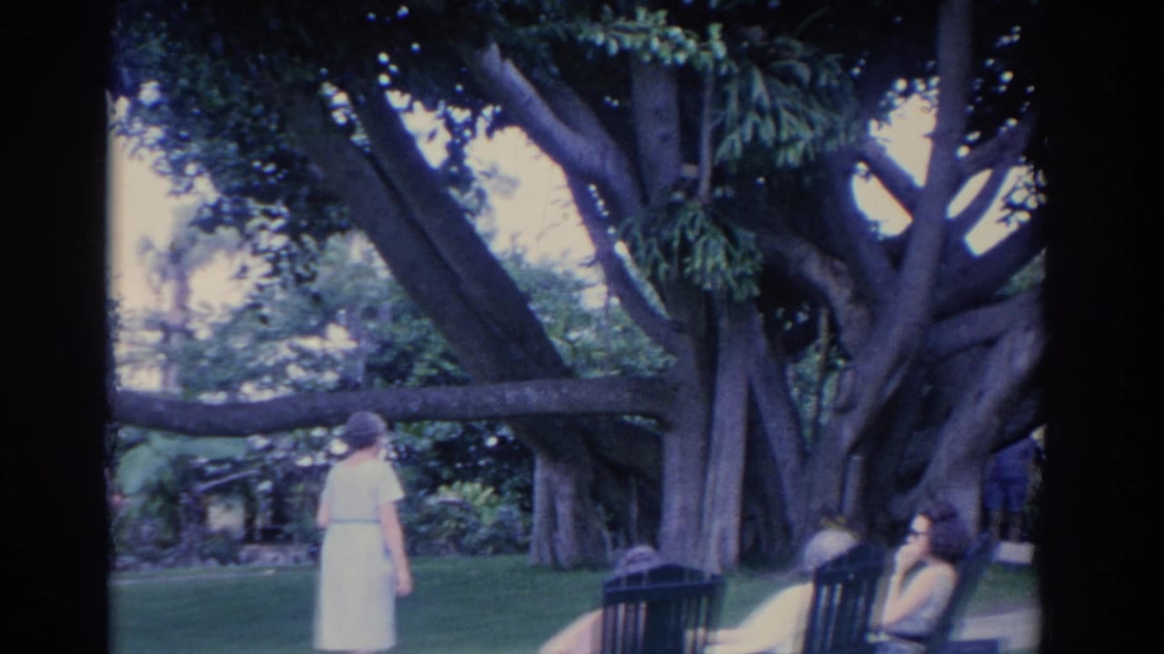 The 1962 Florida garden scene shows the older woman near two seated women relaxing in dark chairs under a large tree.