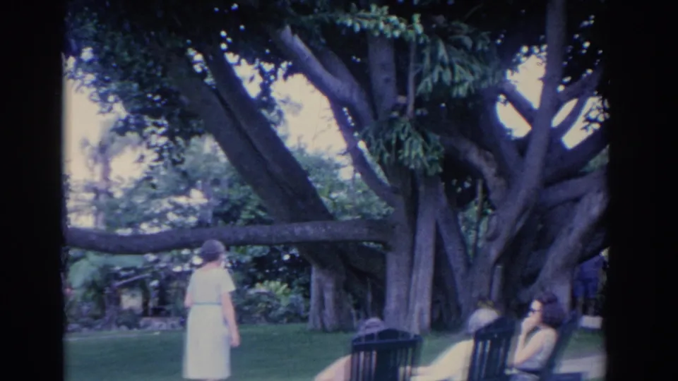 The 1962 Florida garden scene shows the older woman near two seated women relaxing in dark chairs under a large tree.
