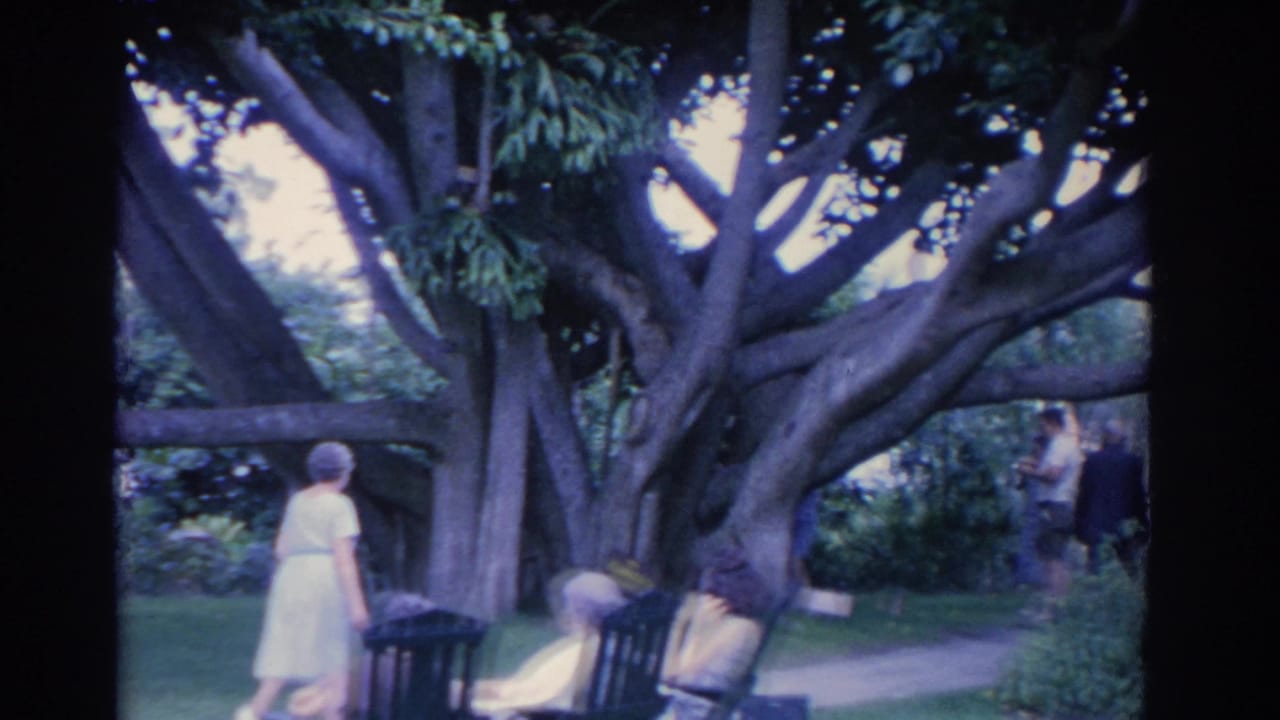 In the Florida garden, the older woman passes seated women beneath a sprawling tree, with another adult partly visible in the background.