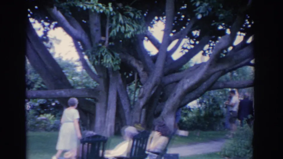In the Florida garden, the older woman passes seated women beneath a sprawling tree, with another adult partly visible in the background.