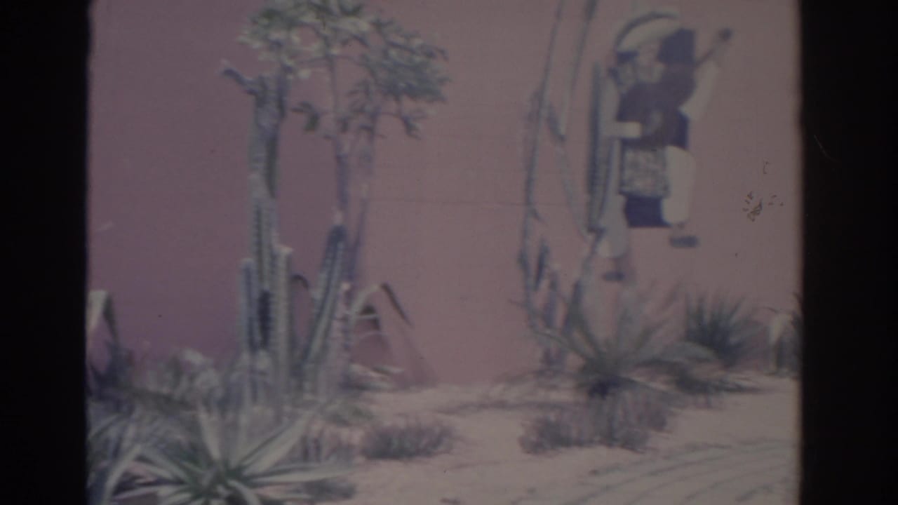 1962 8mm Florida home-movie frame showing cacti, sandy ground, rocks, and a painted figure on the stucco wall.