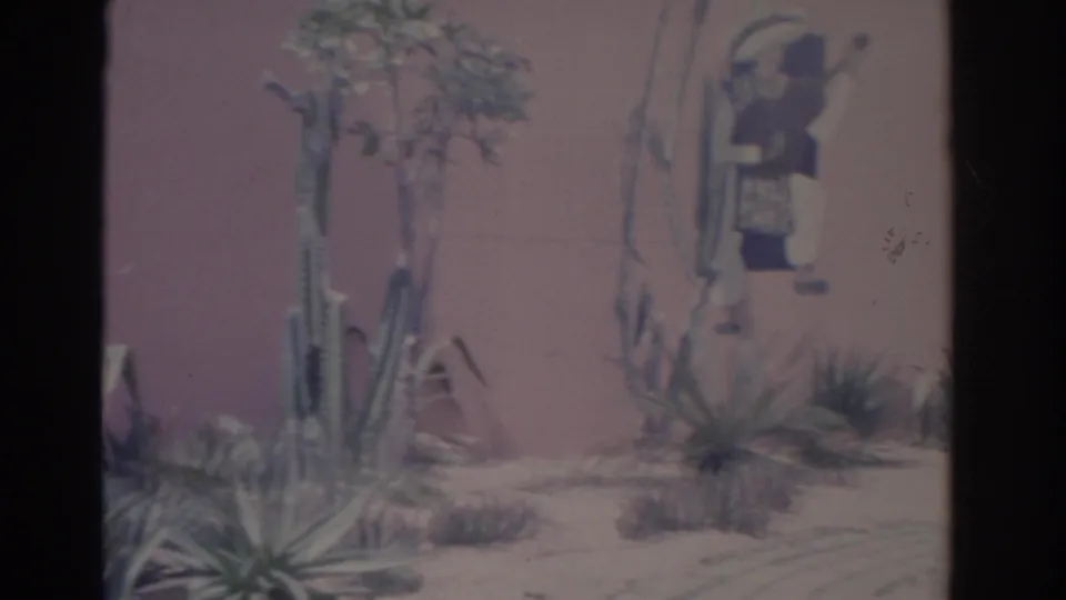 1962 8mm Florida home-movie frame showing cacti, sandy ground, rocks, and a painted figure on the stucco wall.