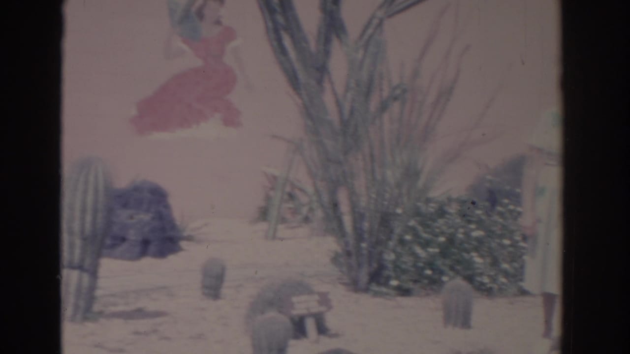 1962 Florida home-movie frame showing a desert-style garden with tall cacti, shrubs, sandy ground, and wall murals.
